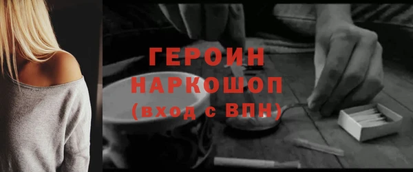 индика Дмитриев