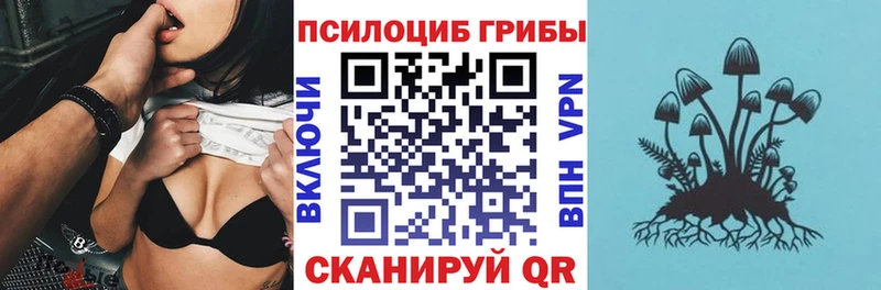 цена   Володарск  Псилоцибиновые грибы Psilocybe 